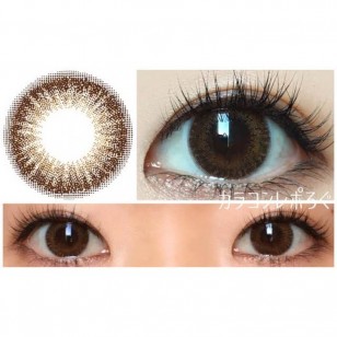 FLANMY Choco Tart 10片裝